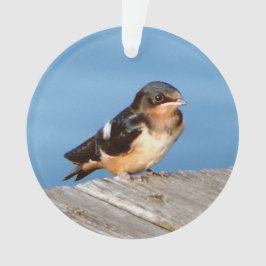 Ornamento acrílico de Barn Swallow