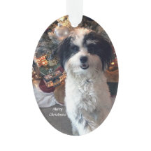 Ornamento acrílico do Feliz Natal, cão bonito