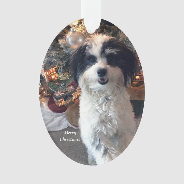 Ornamento acrílico do Feliz Natal, cão bonito (Frente)