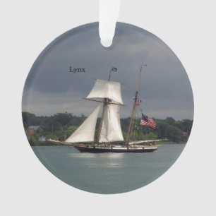 ornamento acrílico do Lynx