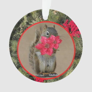 Ornamento acrílico, Ornamento em círculo acrílico