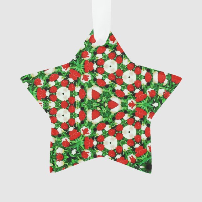 Ornamento Acrylic Ornament (Frente)