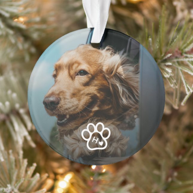 Ornamento Add Your Own Photo Dog Pets Monogram (Árvore)
