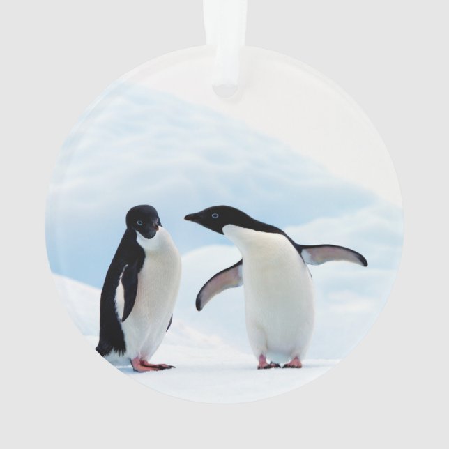 Ornamento Adelie Penguins (Verso)