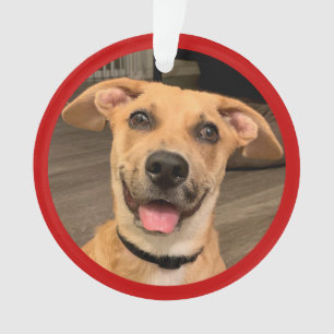 Ornamento Adoção de Animais de Estimação Foto Personalizad