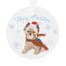 Adorável Yorkie de Natal com Chapéu de Papai Noel