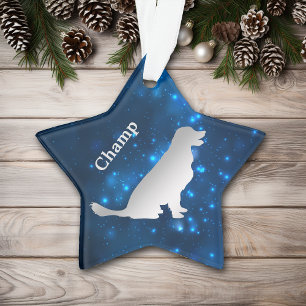 Ornamento Adorno Personalizado Cachorro Estrela Golden Retri