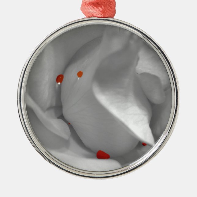 Ornamento Aeolian Watercolor (Frente)