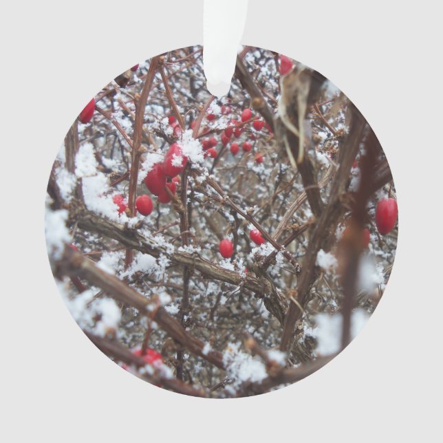 Ornamento agridoce das bagas (Frente)