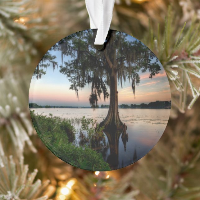 Ornamento Água | Kraft Azalea Park Maitland Florida (Árvore)