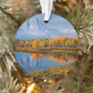 Ornamento Água   Oxbow Bend Jackson Wyoming