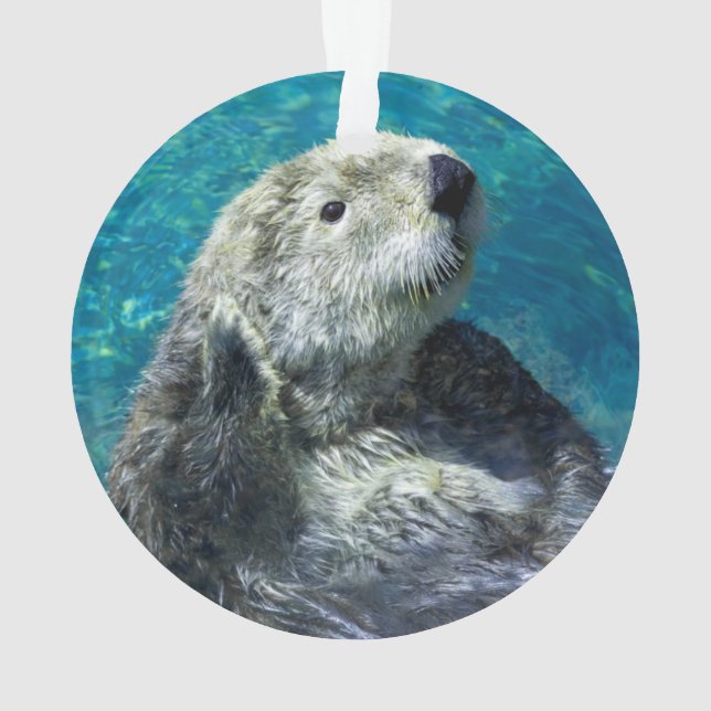 Ornamento Águas Azuis Mariscas de Lontra Marinha Adoráveis (Verso)