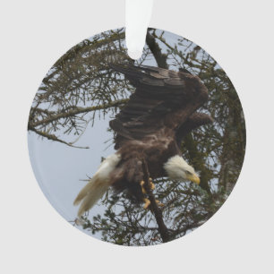 Ornamento Águia americana de Alaska EUA