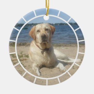 Ornamento amarelo de labrador retriever