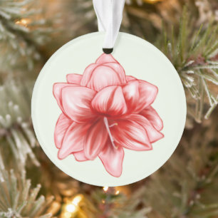 Ornamento Amarillis, rosa e branco, ilustrada