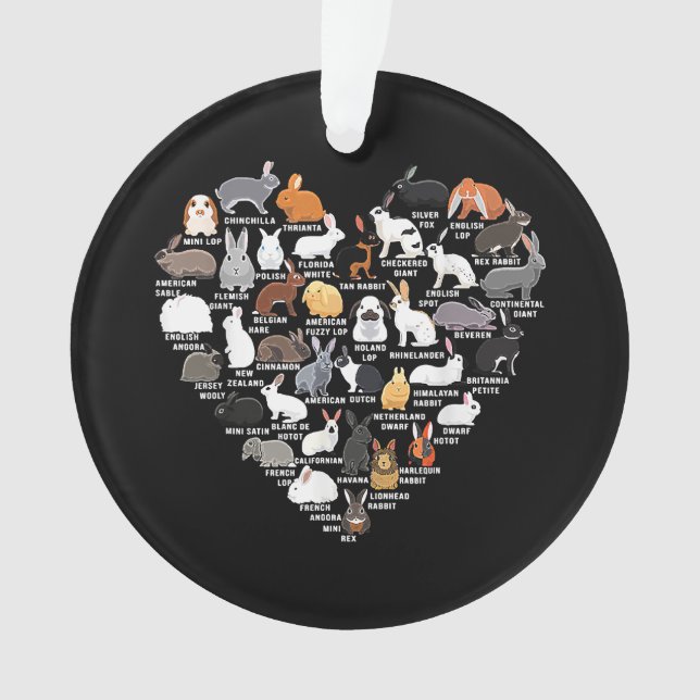 Ornamento Amor Coelhinho Engraçado Coração do Coelho (Frente)