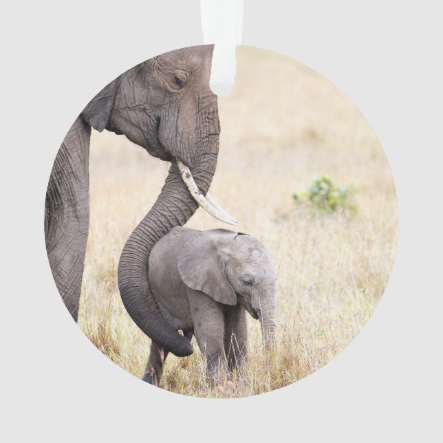 Ornamento Amor maternal (Verso)