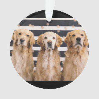 Ornamento Amor para Ouro