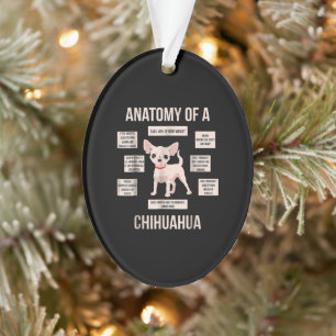 Ornamento Anatomia De Um Presente De Cãozinho Engraçado Ch