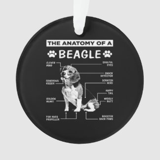 Ornamento Anatomy Beagle Dog