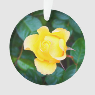 Ornamento Andando na Sunshine Rosa nº 1 Ornament