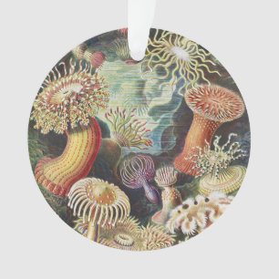 Ornamento Anêmonas-do-mar de Haeckel Colagem de arte náutica