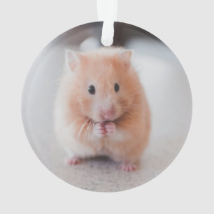 Ornamento Animais de amores de hamster