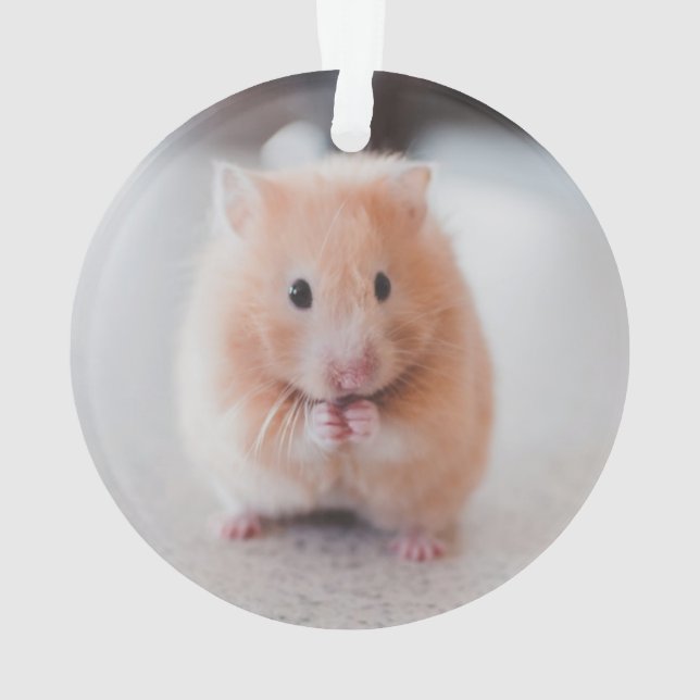 Ornamento Animais de amores de hamster (Verso)