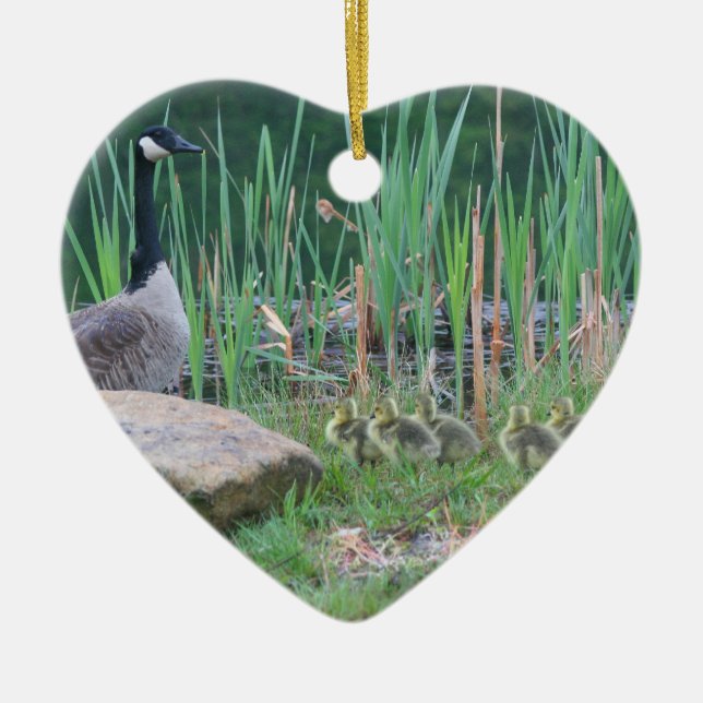 Ornamento Animal De Bebês De Ganso Do Canadá (Frente)