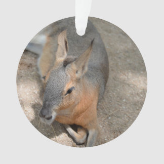 Ornamento animal de descanso animal do cavy patagonian