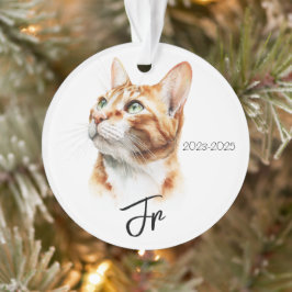 Ornamento Anjos Com Rabos – Lembrança Memorial de Pet