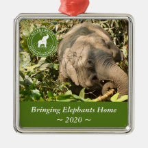 Ornamento ao quadrado NFEF