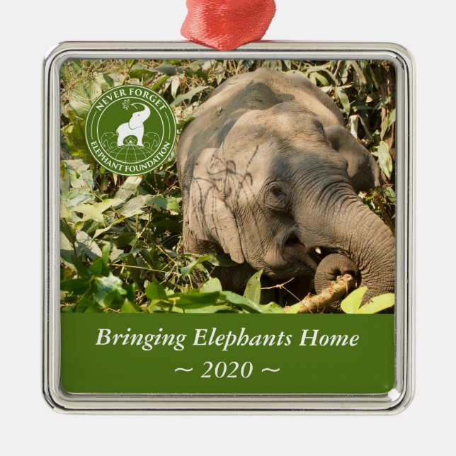 Ornamento ao quadrado NFEF (Frente)