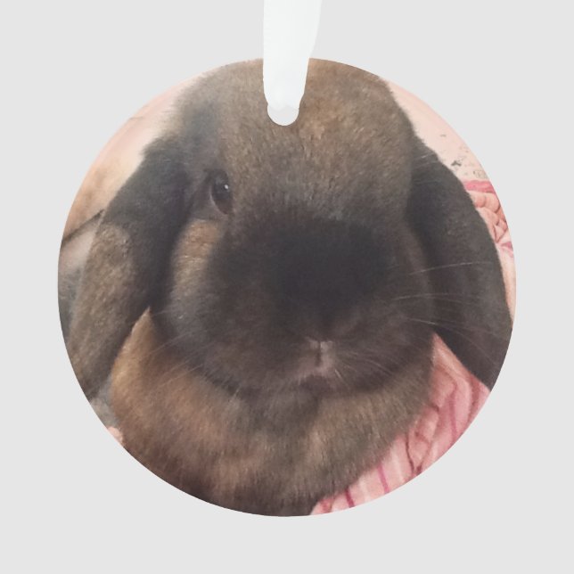 Ornamento Aprecie ter esta cara pequena pendurar em sua (Frente)