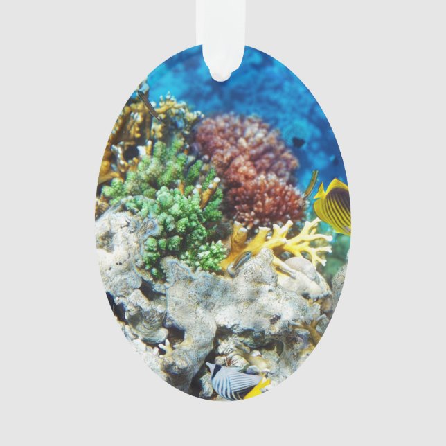 Ornamento Aquário coral (Frente)