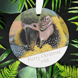 Ornamento Ara Parrot Pet Photo Star No Natal Keepsasaet
