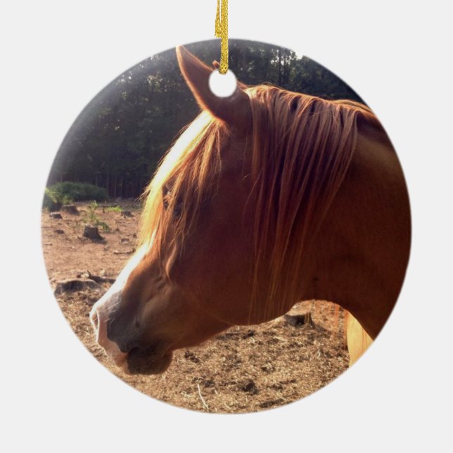 Ornamento árabe do cavalo (Traseira)