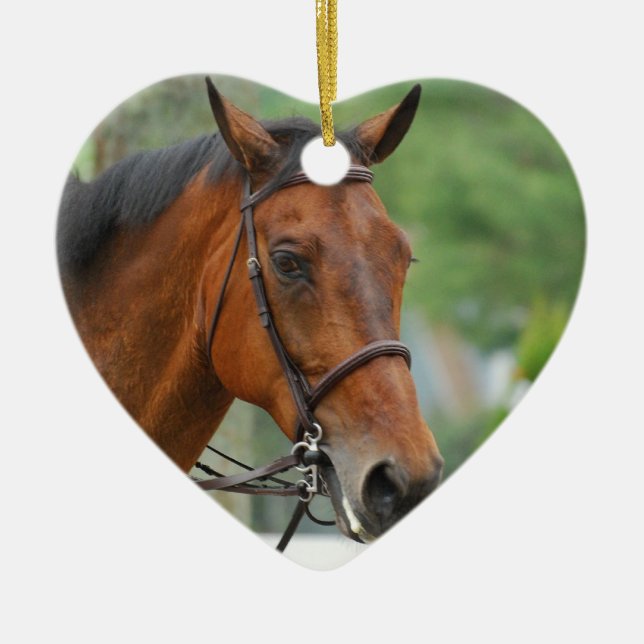 Ornamento árabe do cavalo da baía (Frente)