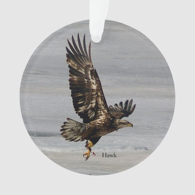 ornamento arcílico Hawk (Frente)