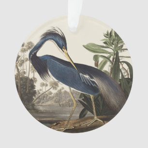 Ornamento Arte de Pássaro Garça da Louisiana Audubon Vintage