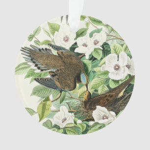 Ornamento Arte Floral Vintage de Pombo Chorão de Audubon