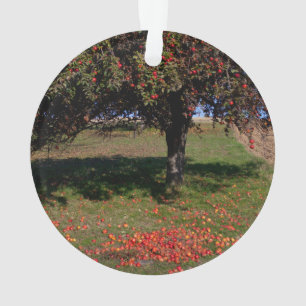 Ornamento Árvore de Maçã Antiga