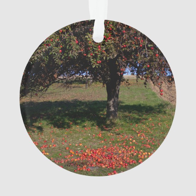 Ornamento Árvore de Maçã Antiga (Verso)