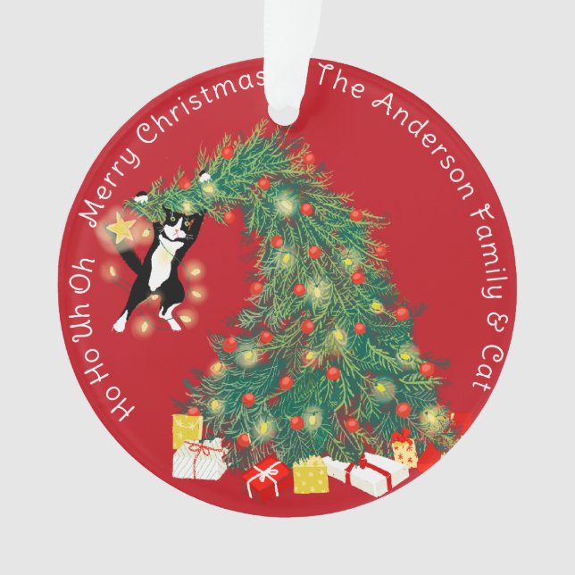 Ornamento Árvore de Natal Engraçado - Cena Personalizada 2 (Frente)