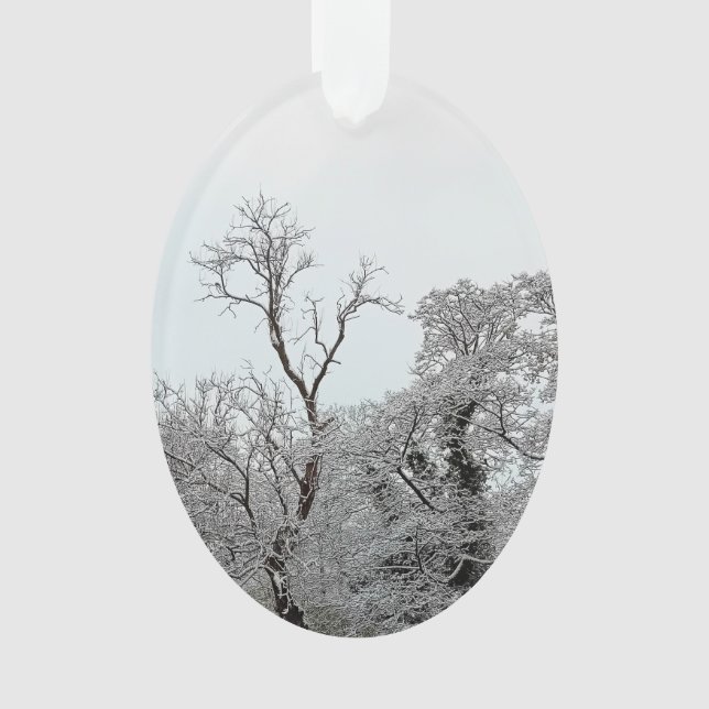 Ornamento Árvores cobertas de neve (Frente)