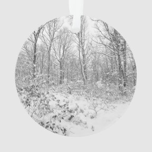 Ornamento Árvores nevado no Poconos
