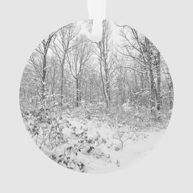 Ornamento Árvores nevado no Poconos (Verso)