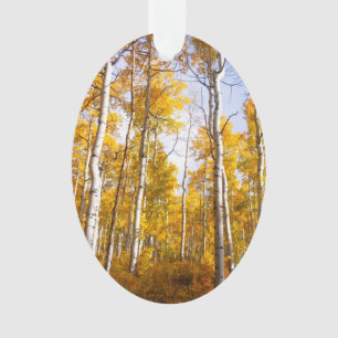 Ornamento Aspen Groove Yellow Fall Folies