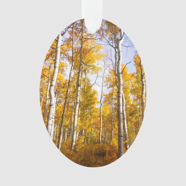Ornamento Aspen Groove Yellow Fall Folies (Frente)