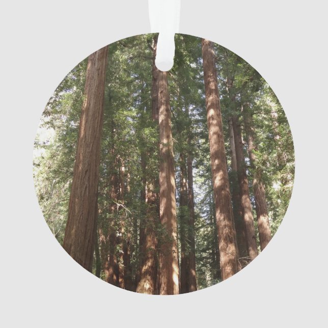 Ornamento Até Sequoias II no Monumento Nacional de Muir Wood (Verso)